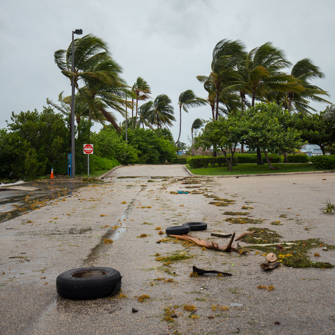 hurricane irma