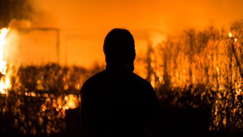 brush fire in brevard