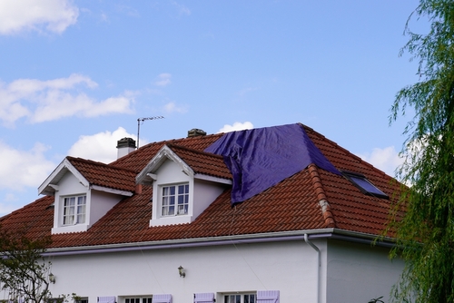 florida residents waiting for roof repairs