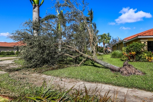 damage from hurricane idalia